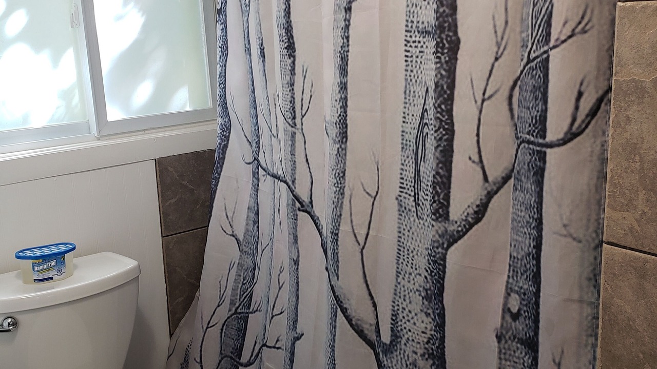 Photo of Bathroom in North Bay
