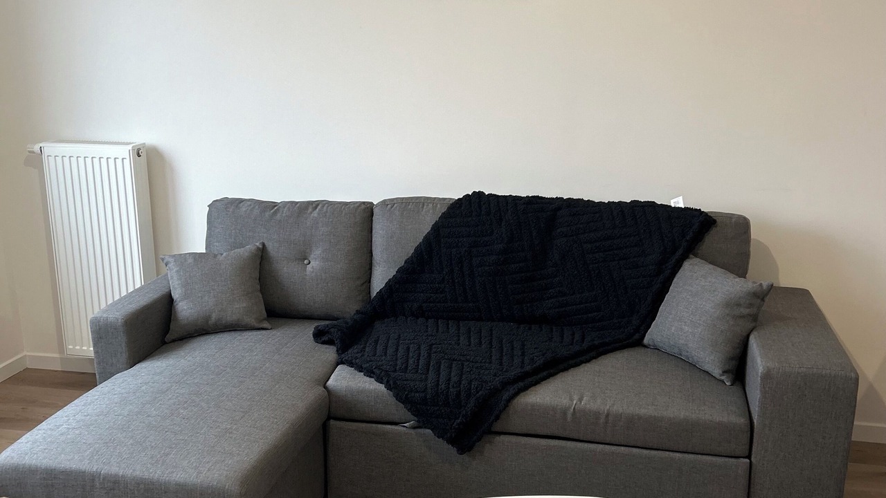 Photo of Livingroom in Le Blanc-Mesnil