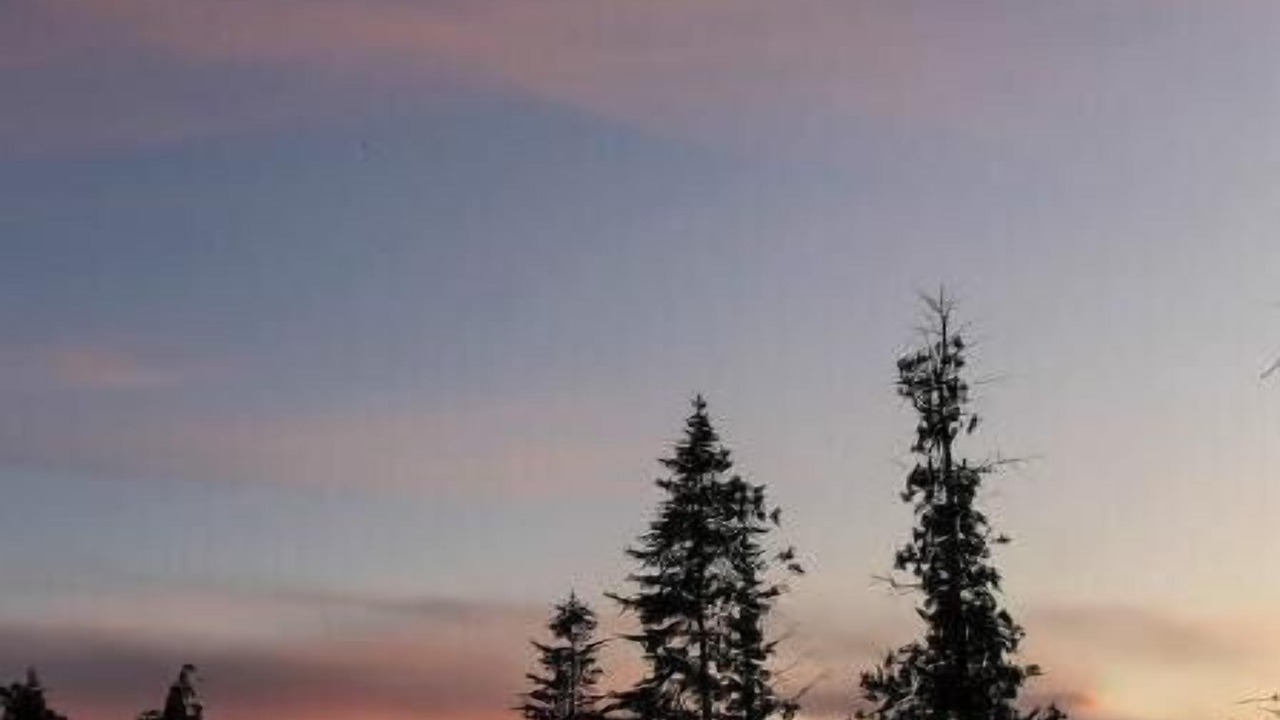 Photo of Others in Northern Bruce Peninsula