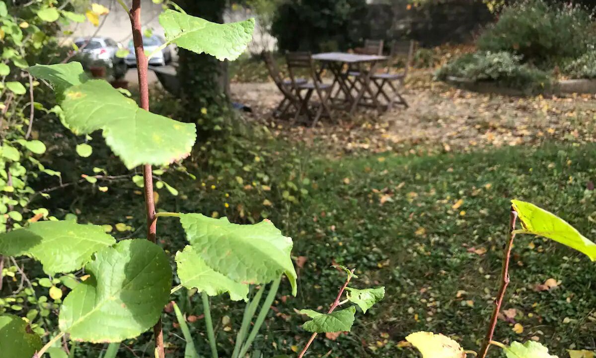 Photo of Outdoor in Issy-les-Moulineaux