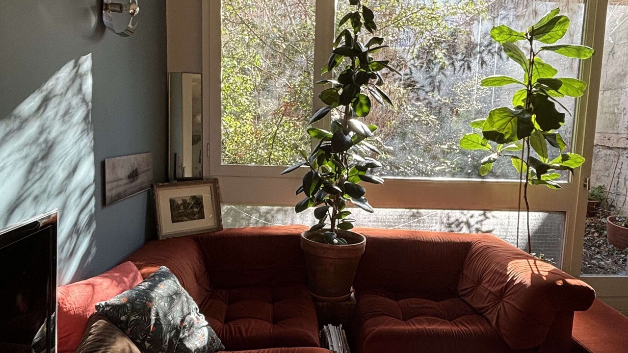 Photo of Livingroom in Issy-les-Moulineaux