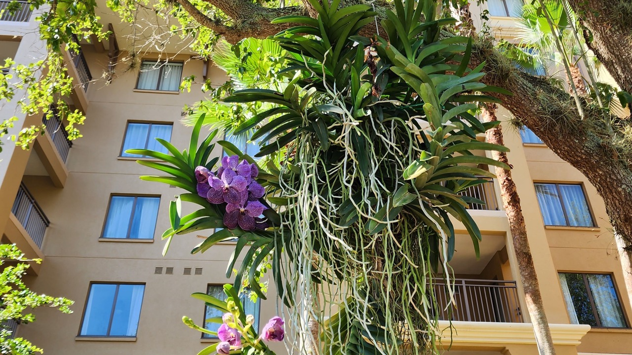 Photo of Outdoor in Bay Lake