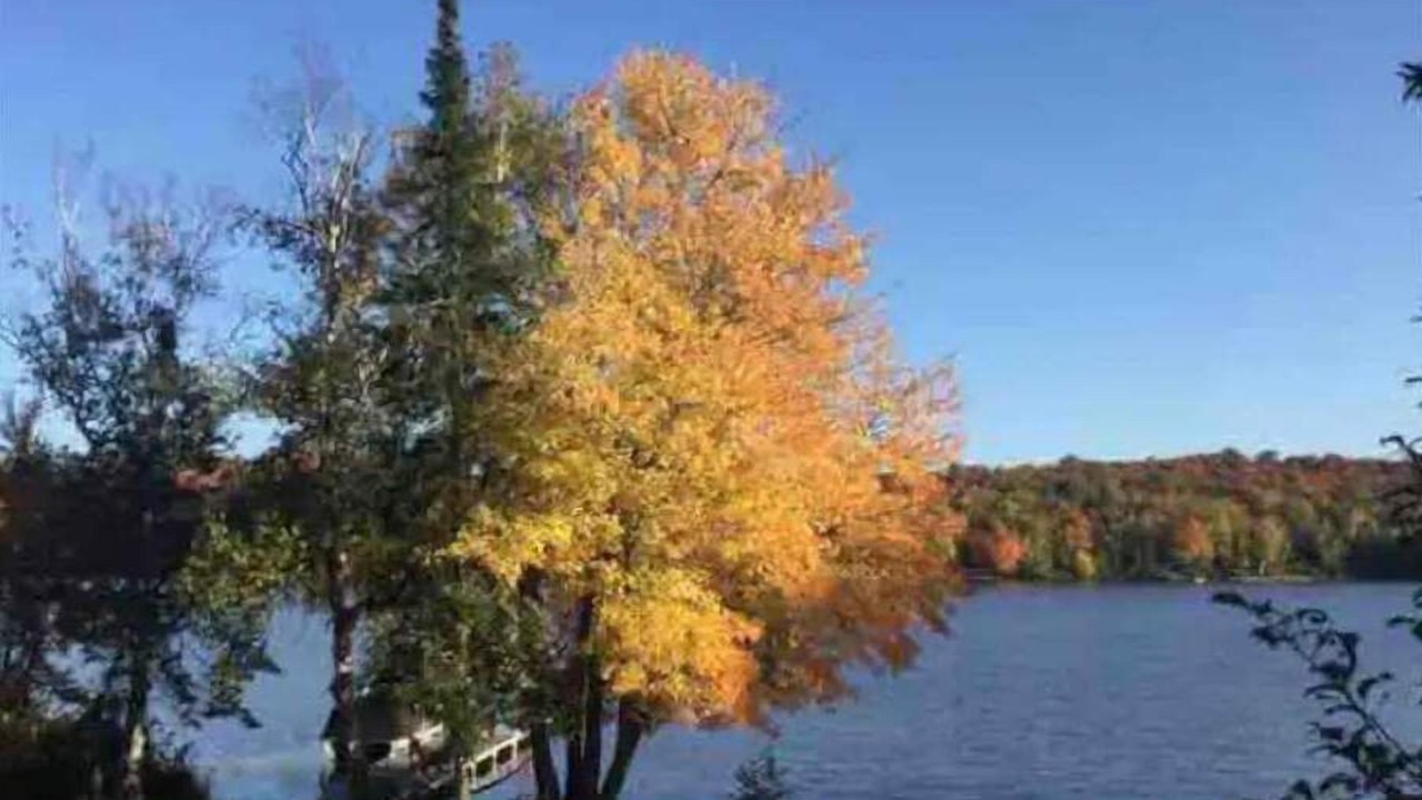 Photo of Outdoor in McMurrich/Monteith