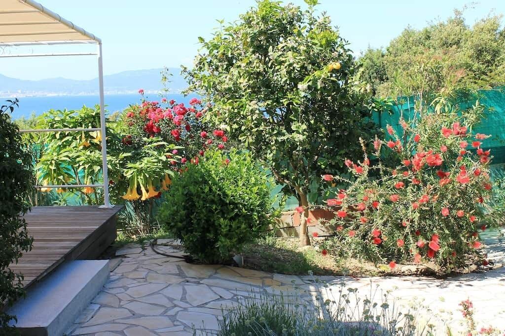 Photo of Outdoor in Isolella