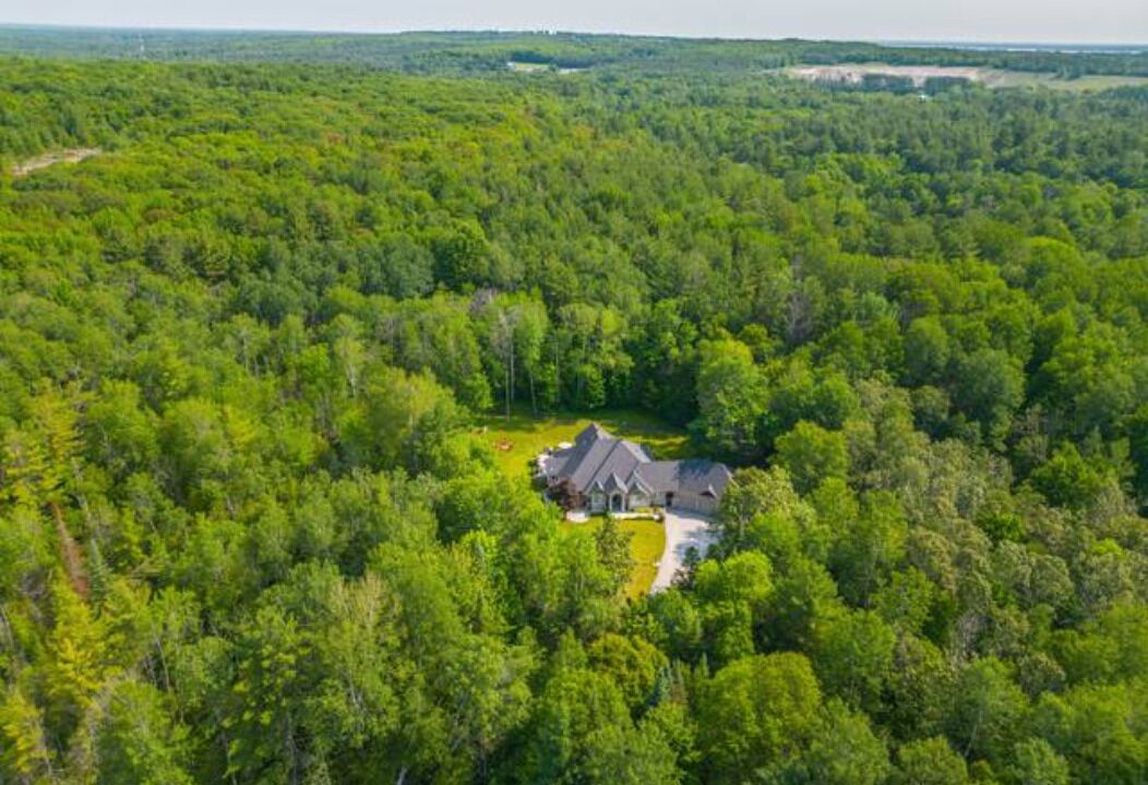 Photo of Outdoor in Severn