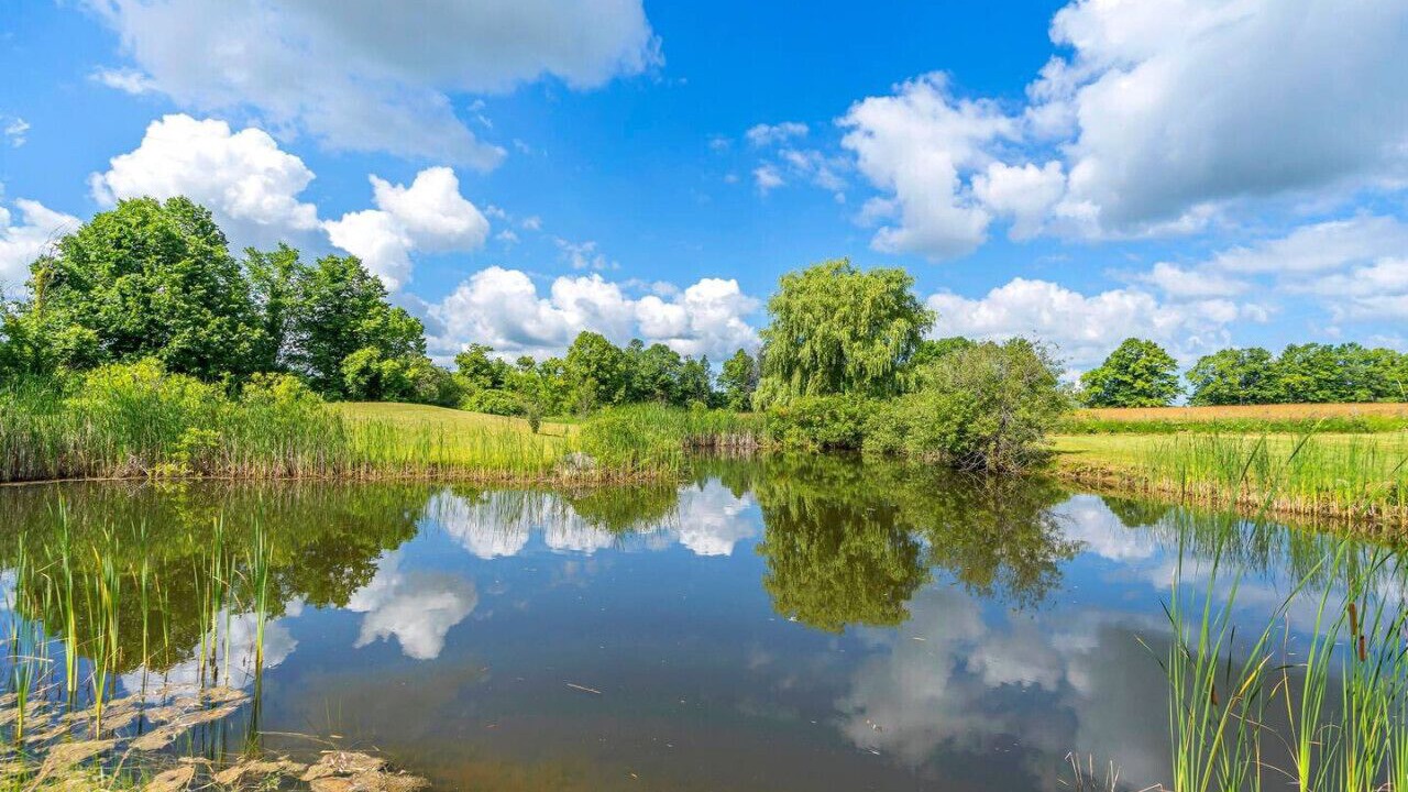 Photo of Outdoor in Georgina