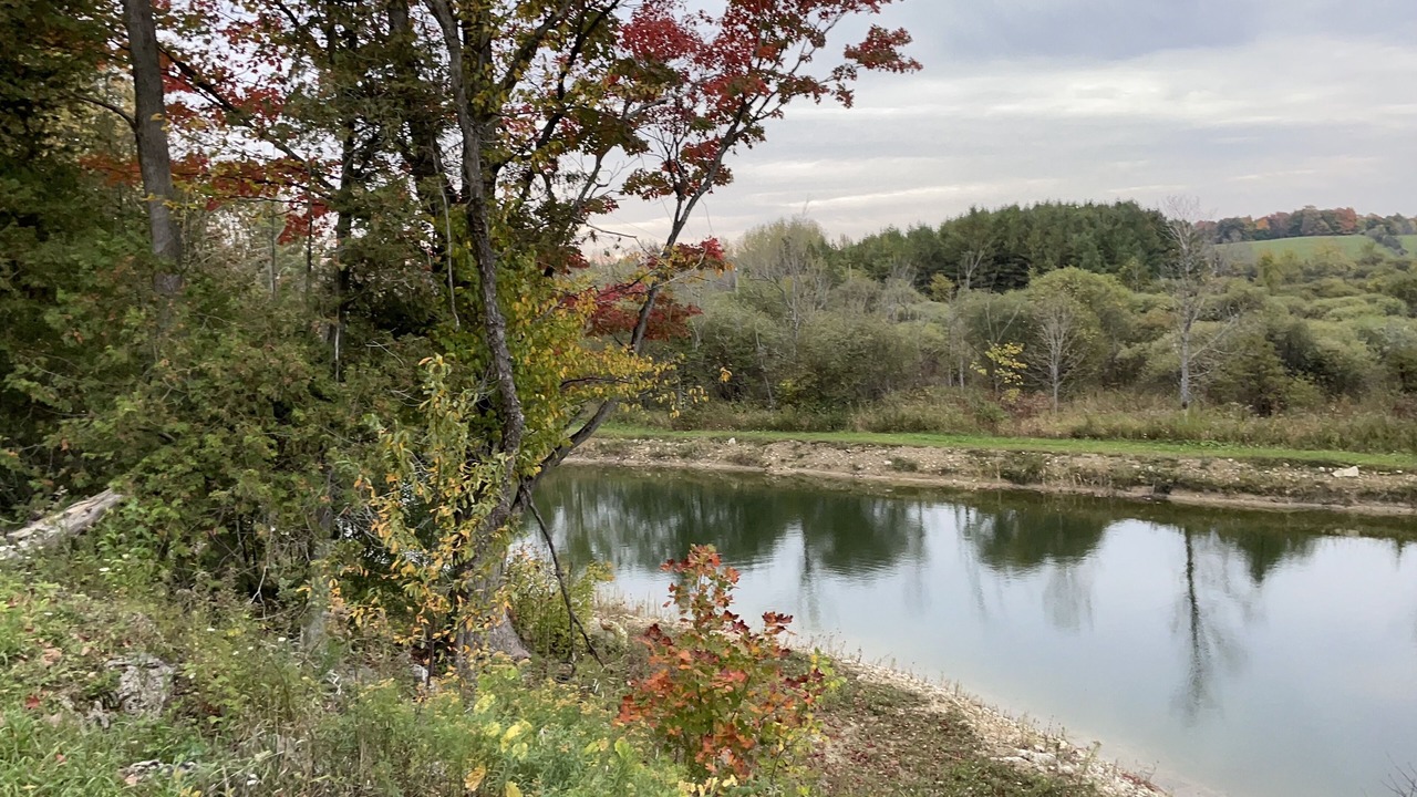Photo of Outdoor in Markdale