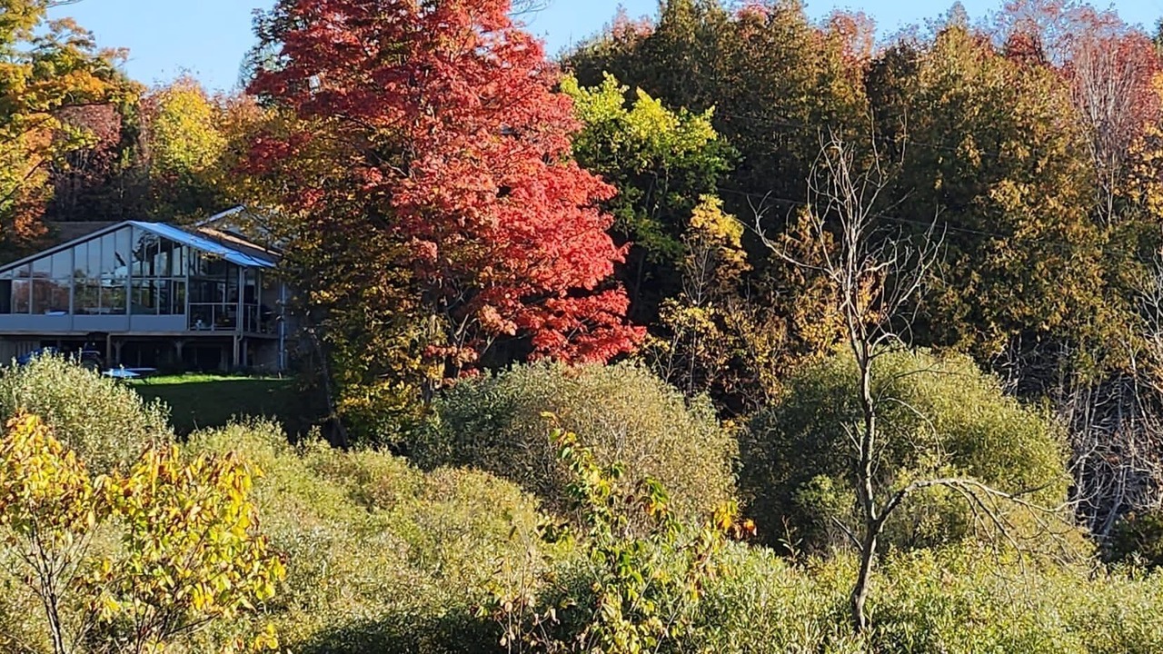 Photo of Outdoor in Markdale