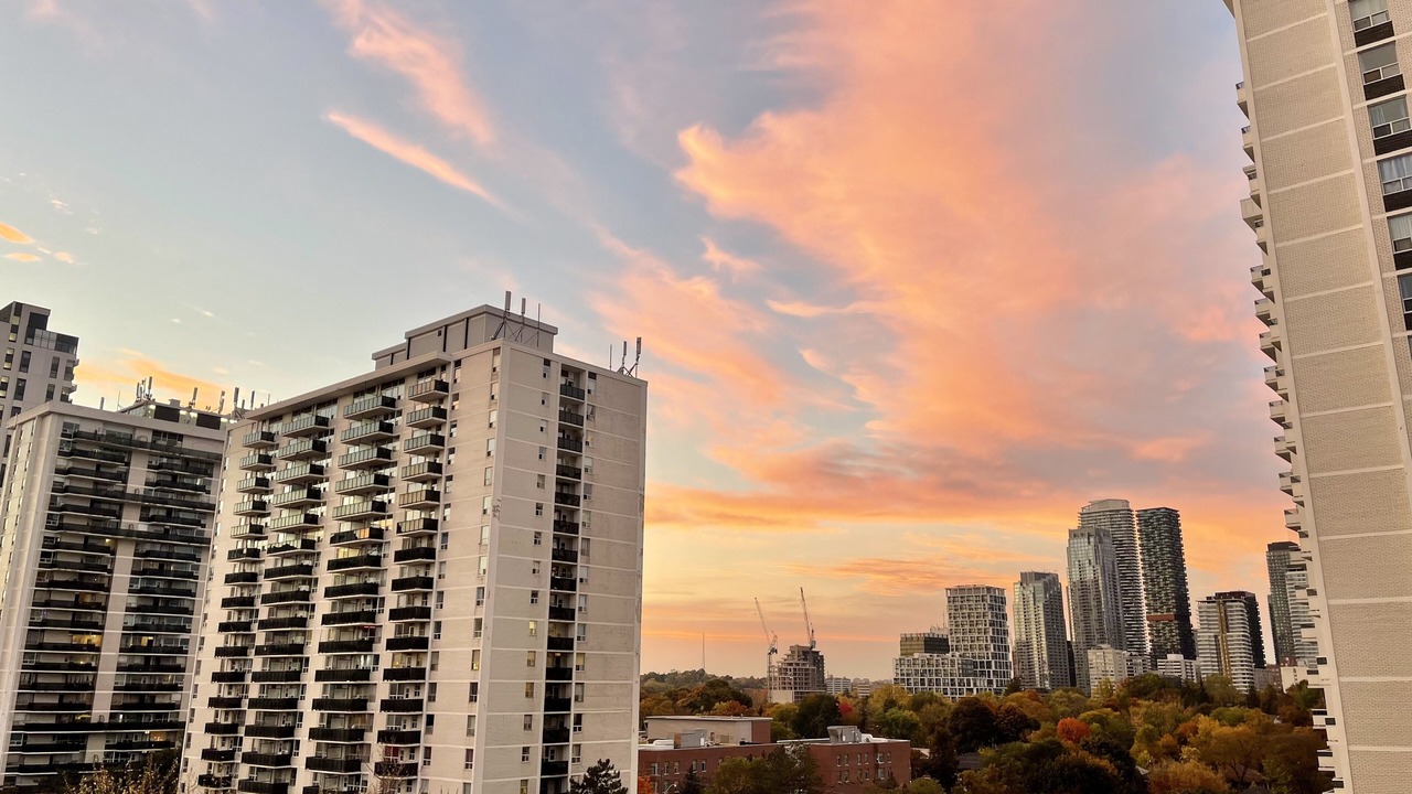 Photo of Outdoor in Davisville
