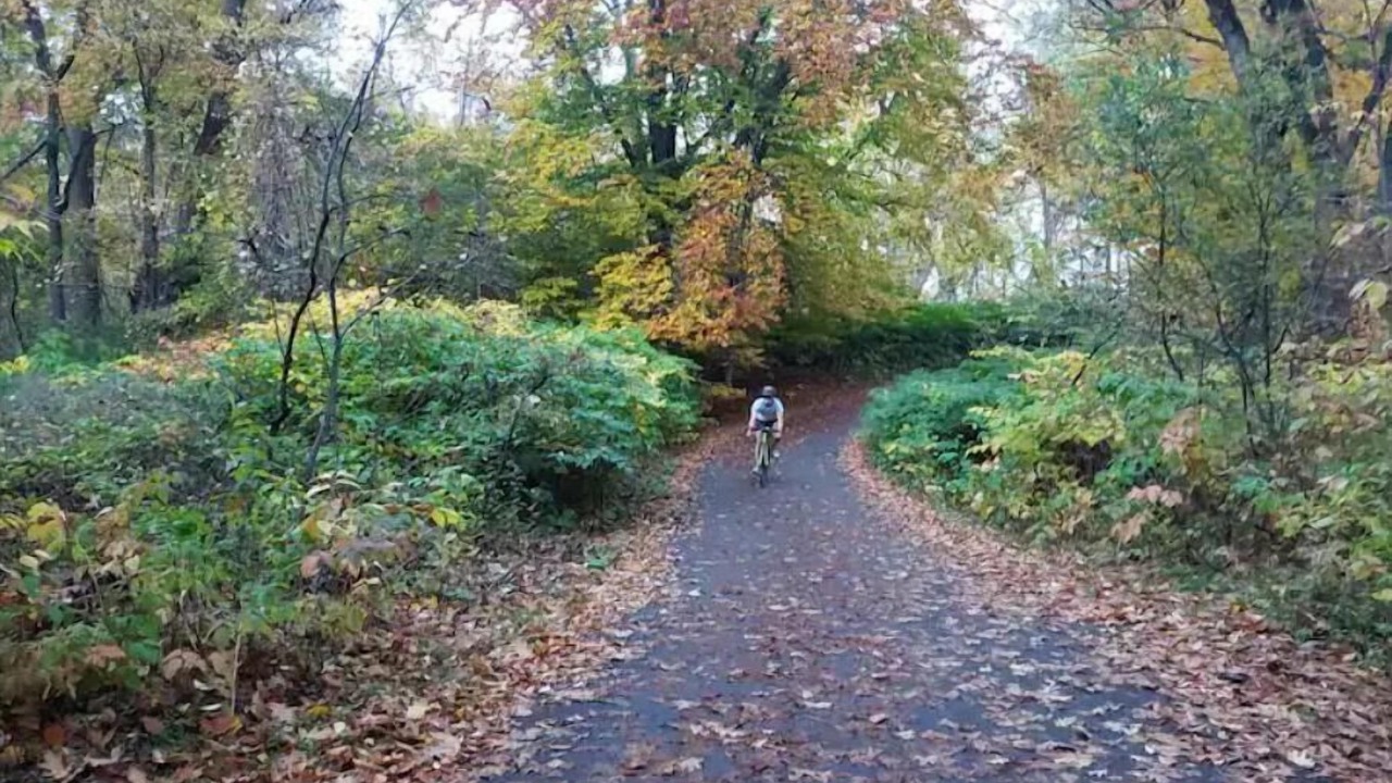Photo of Others in Alderwood