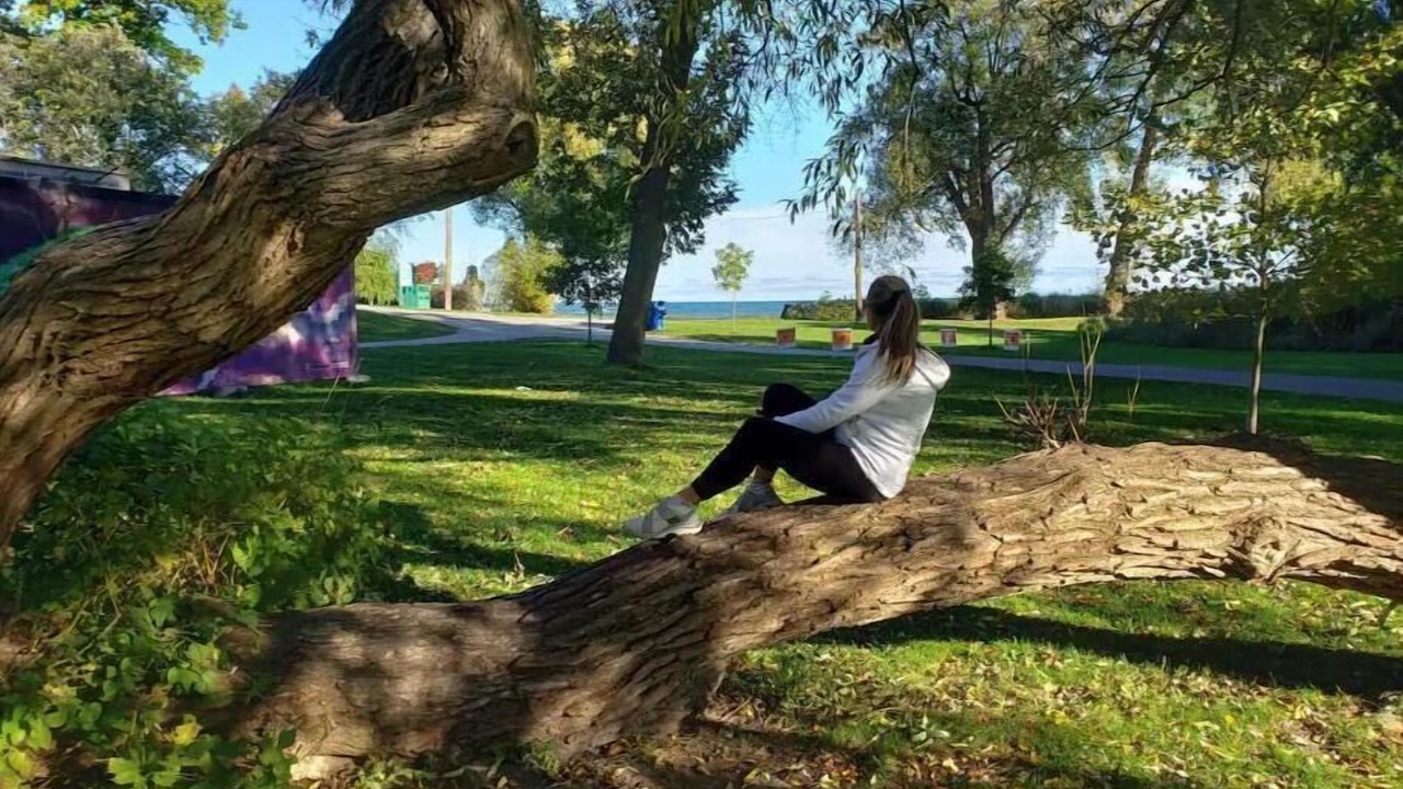 Photo of Others in Alderwood
