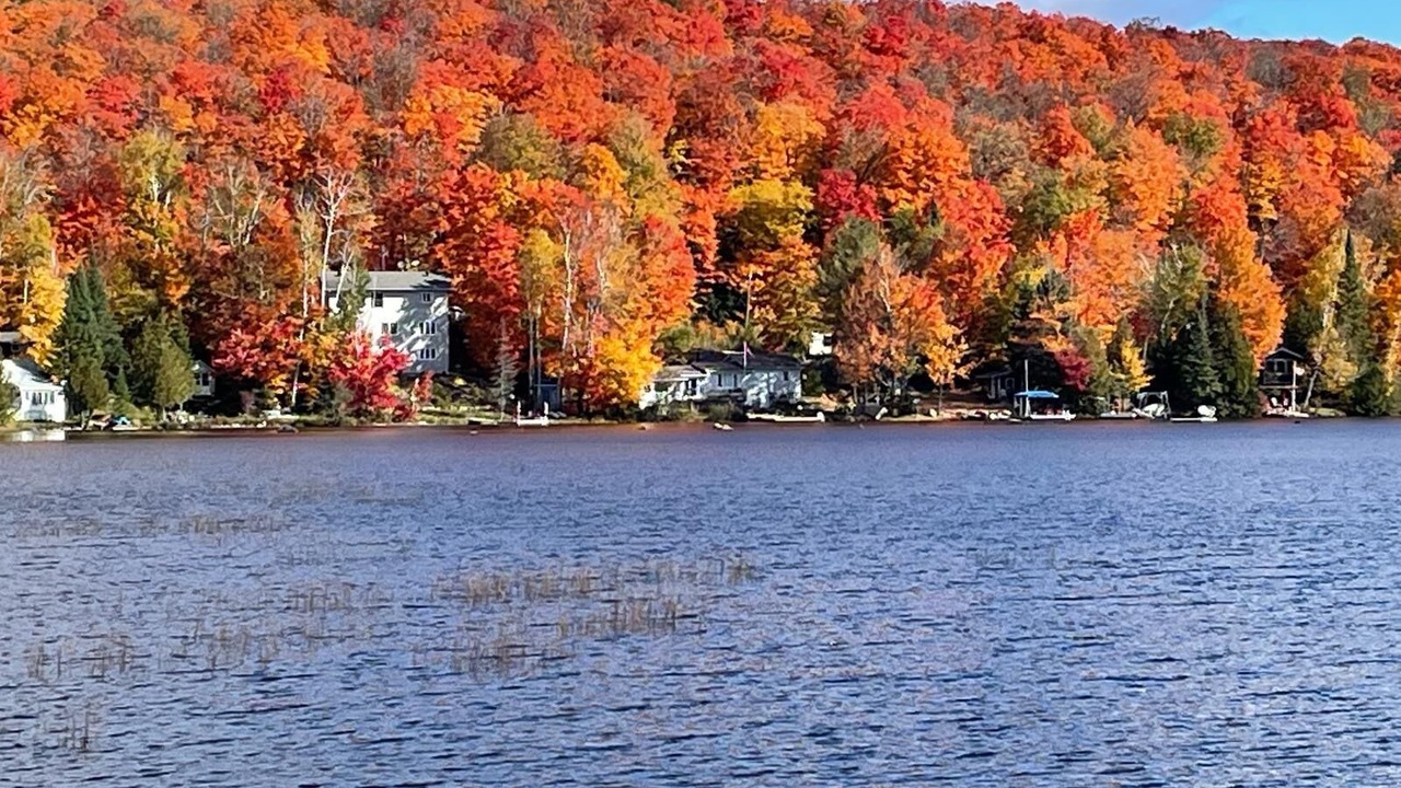 Photo of Others in Perry