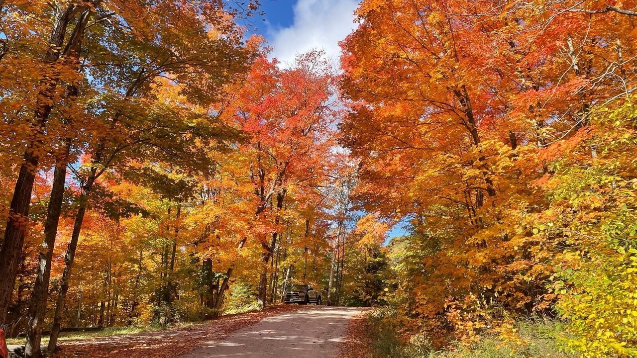 Photo of Outdoor in Perry