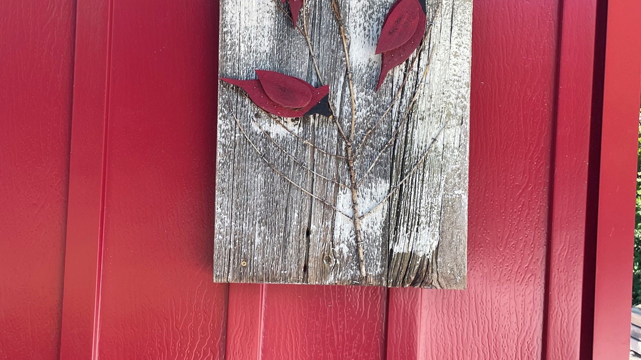Photo of Outdoor in Saugeen 29