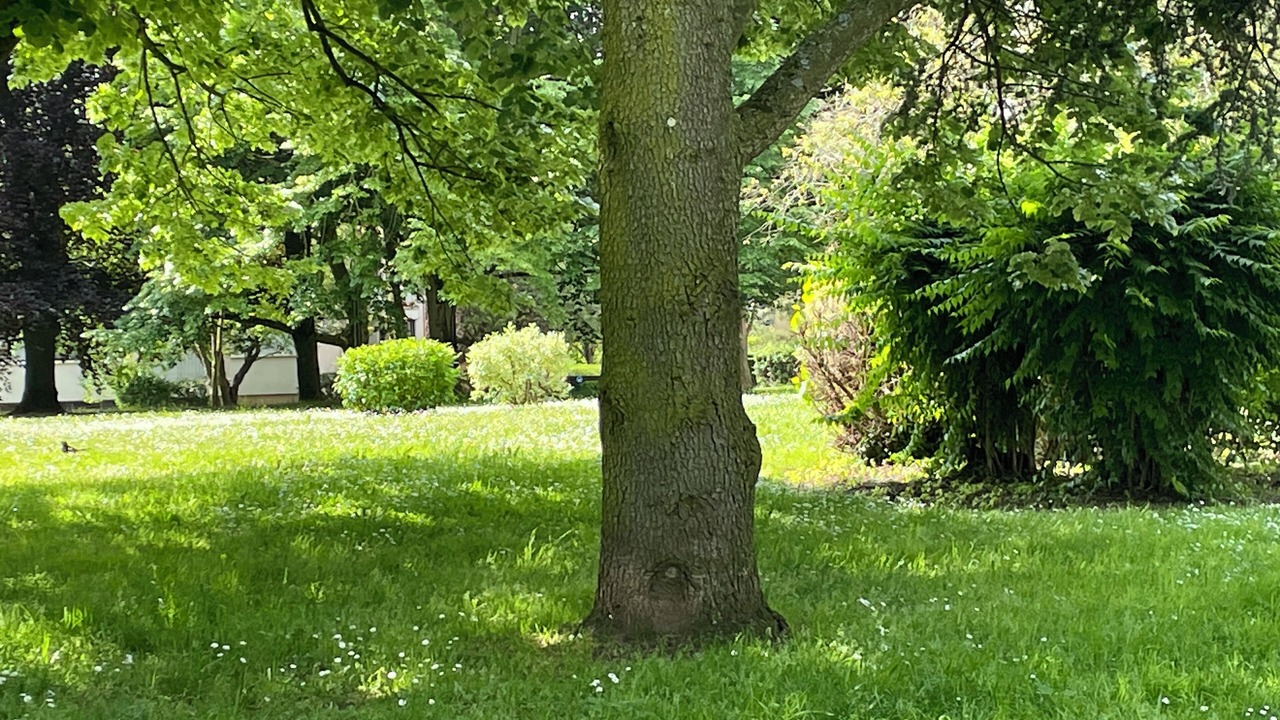 Photo of Outdoor in Chennevieres-sur-Marne