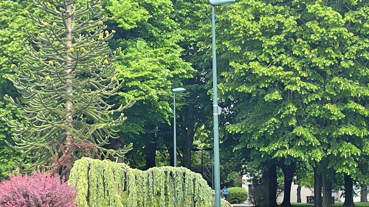 Photo of Outdoor in Chennevieres-sur-Marne