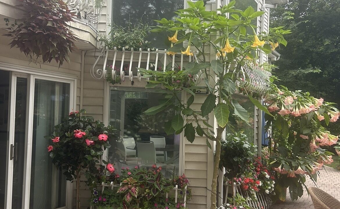 Photo of Outdoor in Malverne