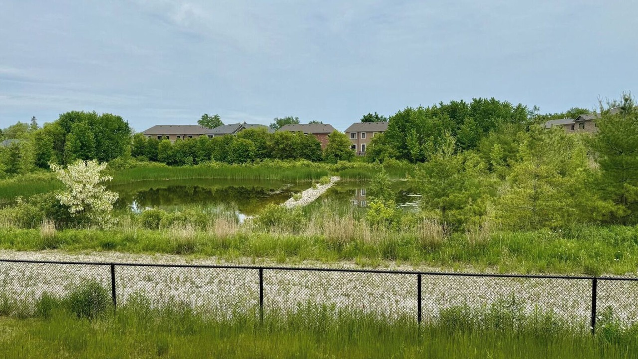 Photo of Outdoor in Stayner