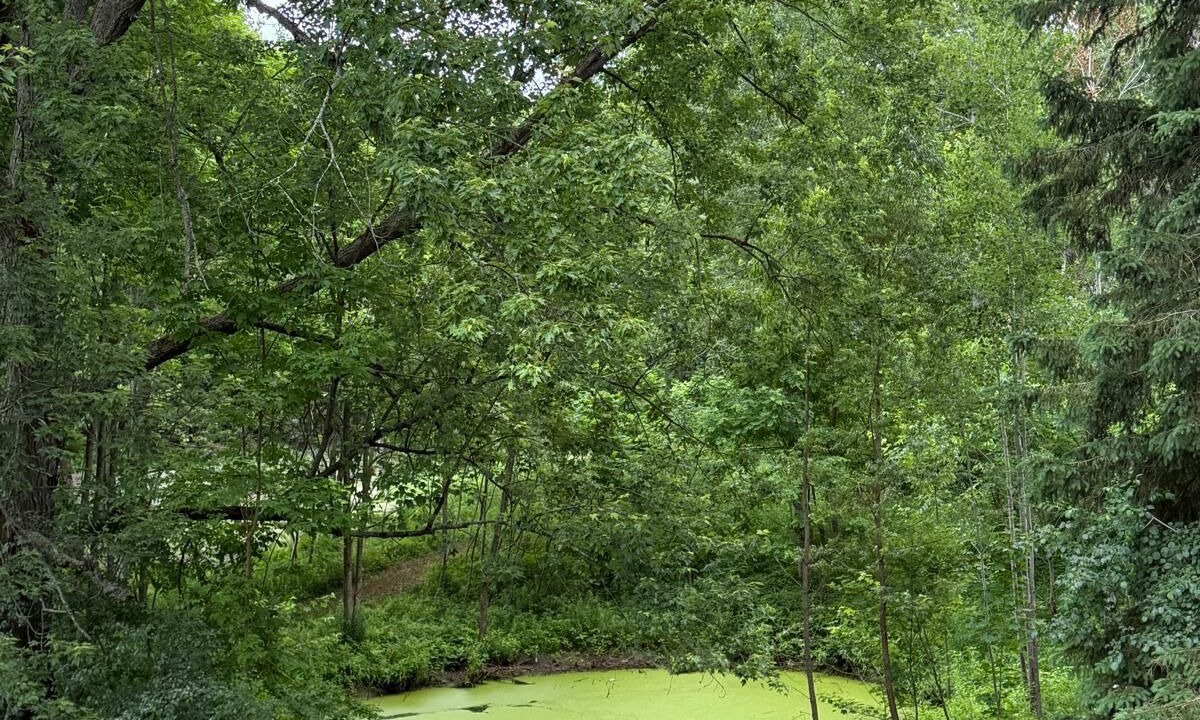 Photo of Outdoor in King City