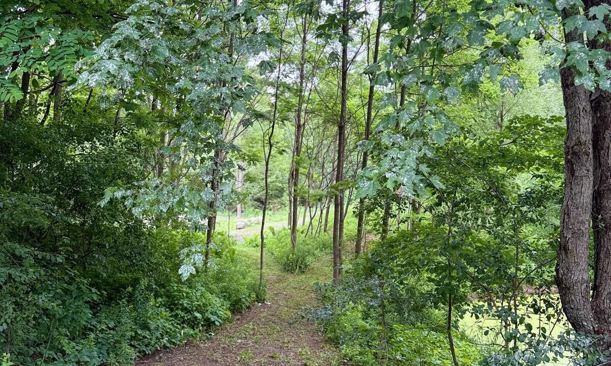 Photo of Others in King City