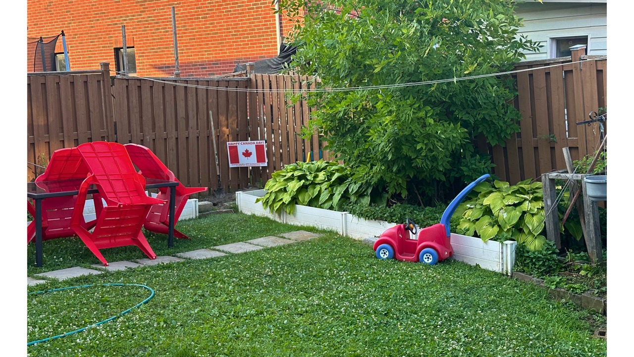 Photo of Others in Brampton