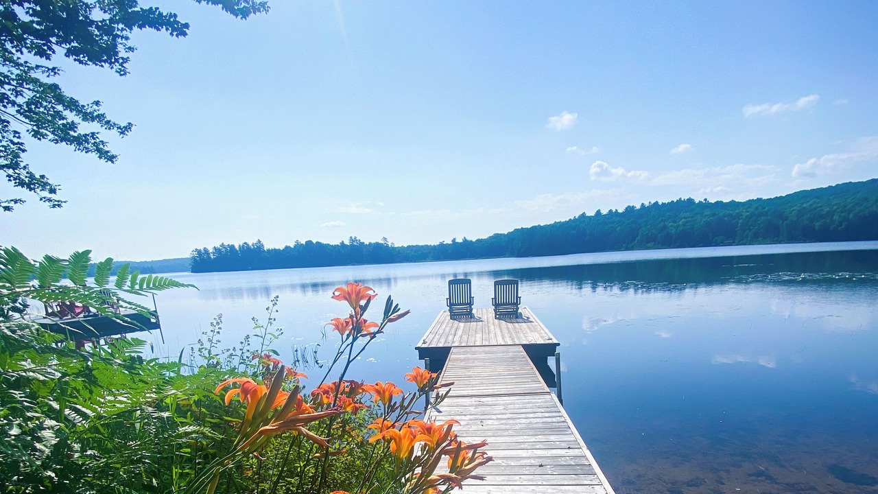 Photo of Outdoor in Baysville