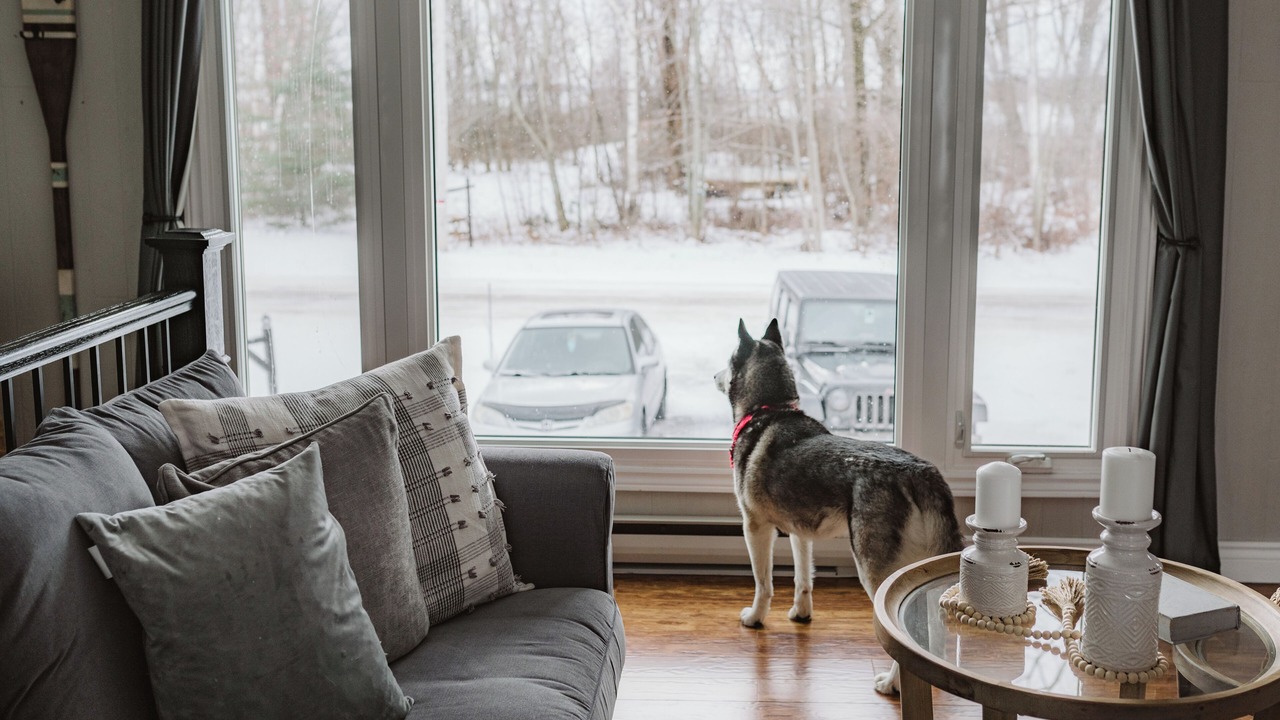 Photo of Livingroom in Baddow