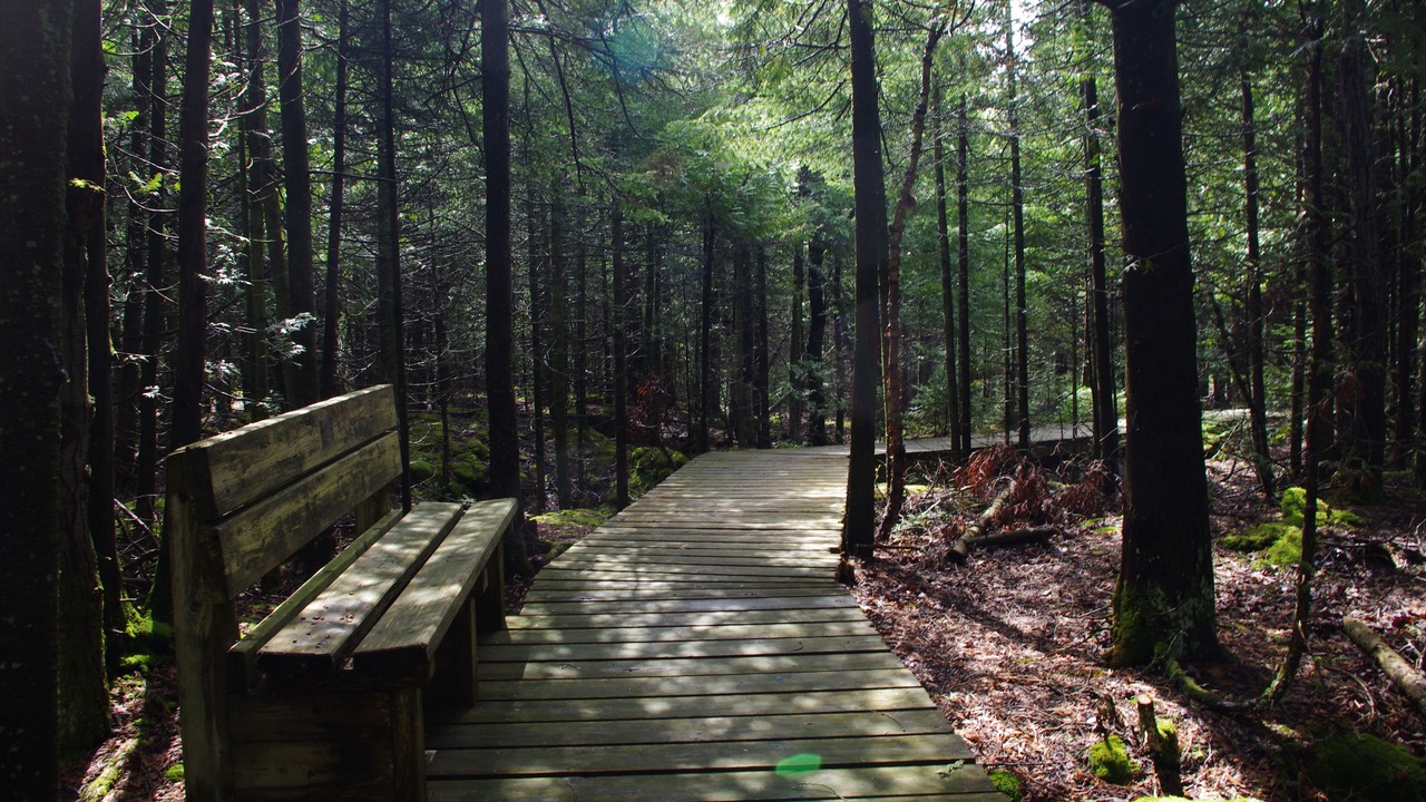 Photo of Outdoor in Tobermory