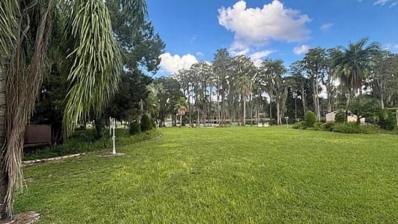 Photo of Outdoor in Odessa