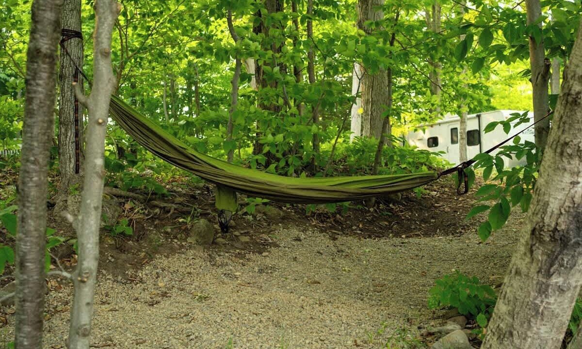 Photo of Others in Miller Lake