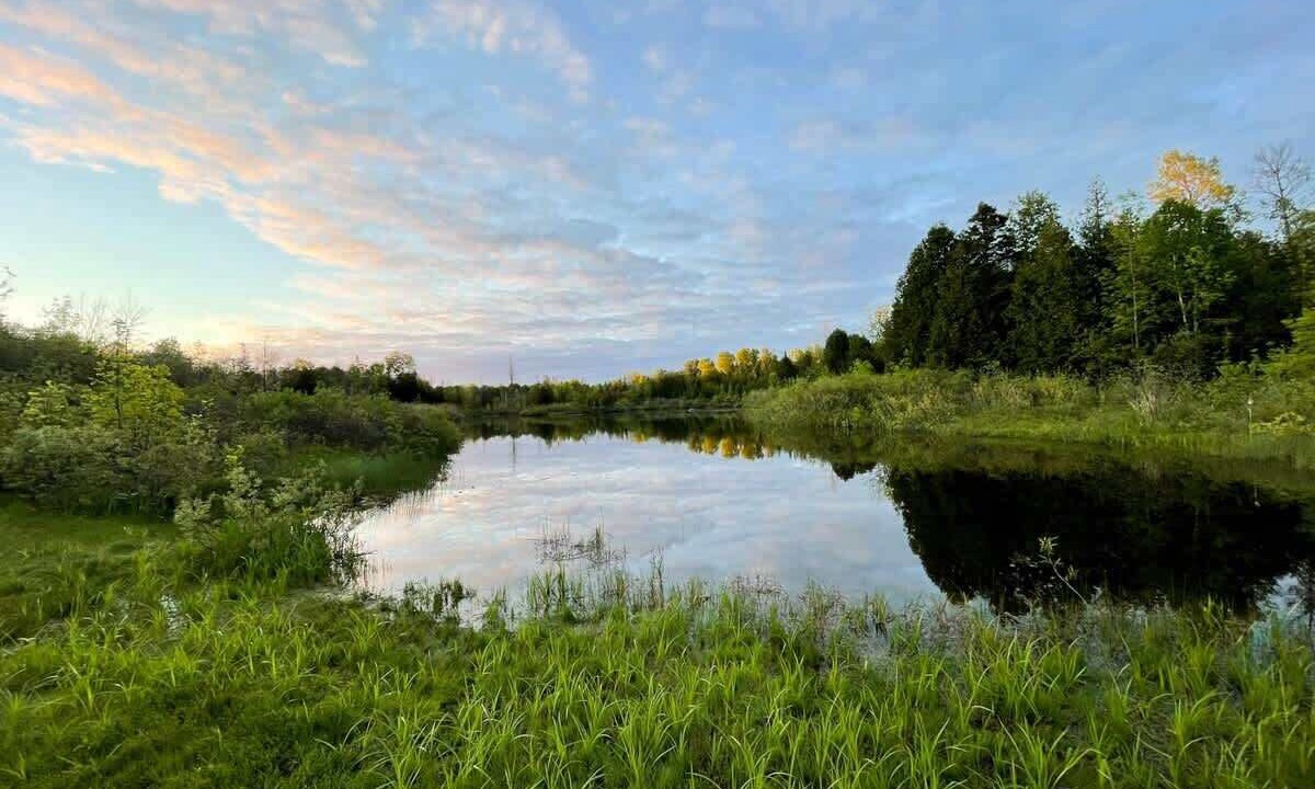 Photo of Others in Miller Lake