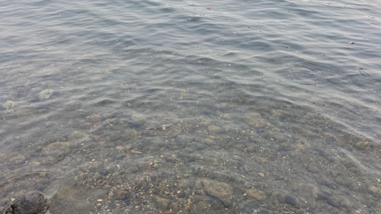Photo of Others in North Frontenac