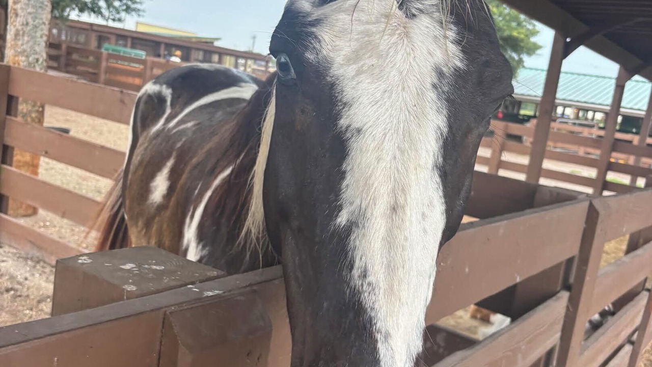 Photo of Others in River Ranch