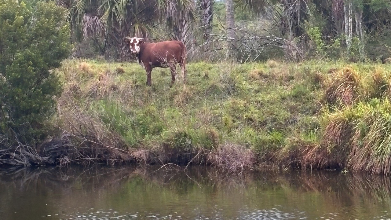 Photo of Others in River Ranch