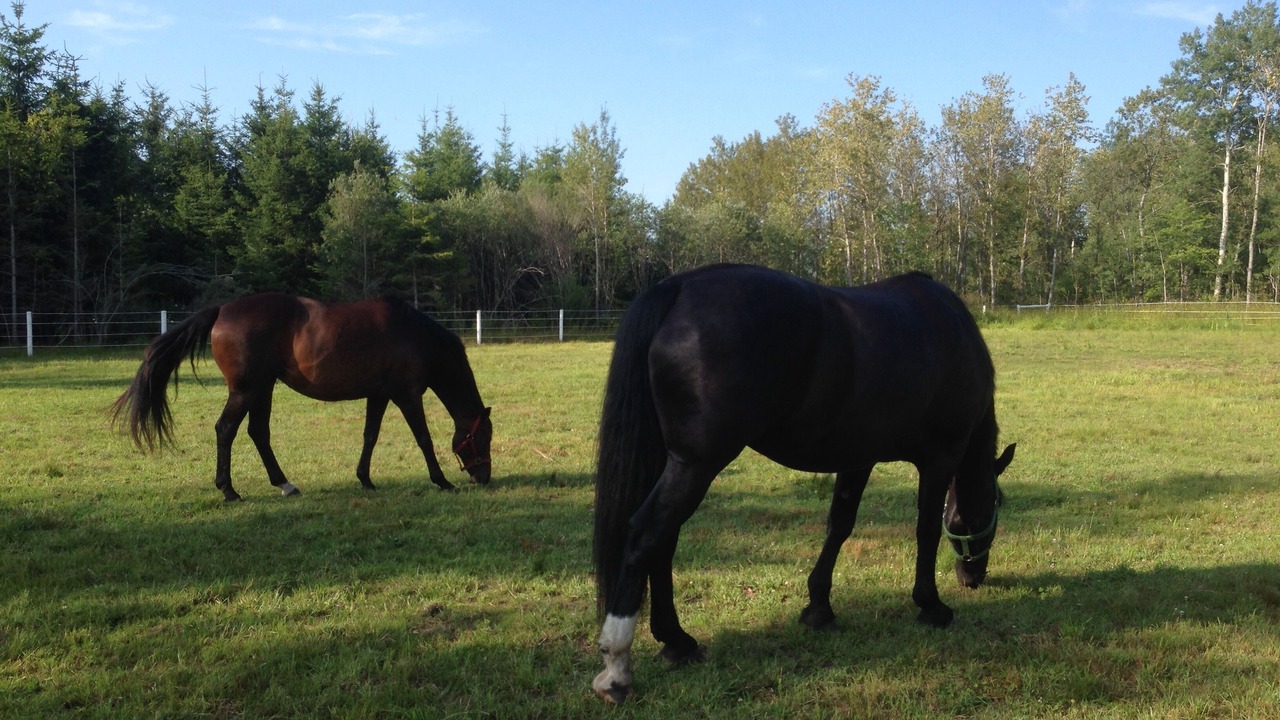 Photo of Others in Melancthon