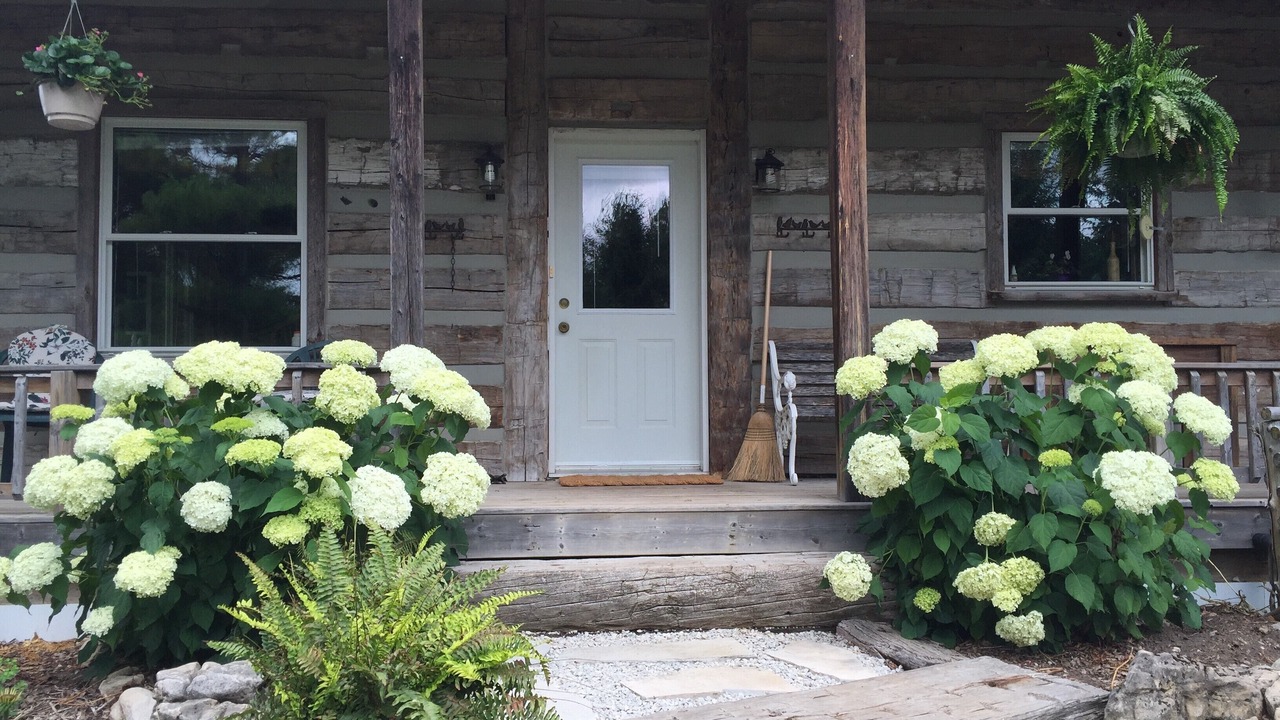 Photo of Outdoor in Melancthon