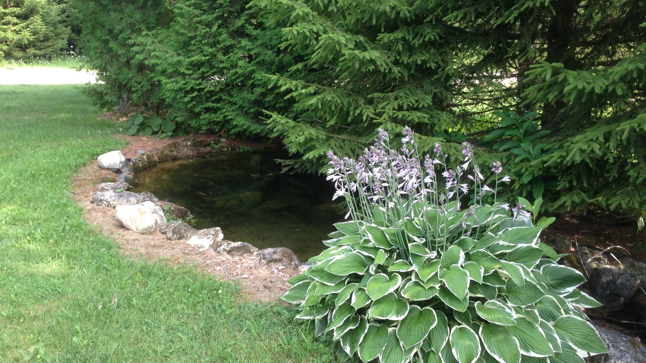 Photo of Outdoor in Melancthon