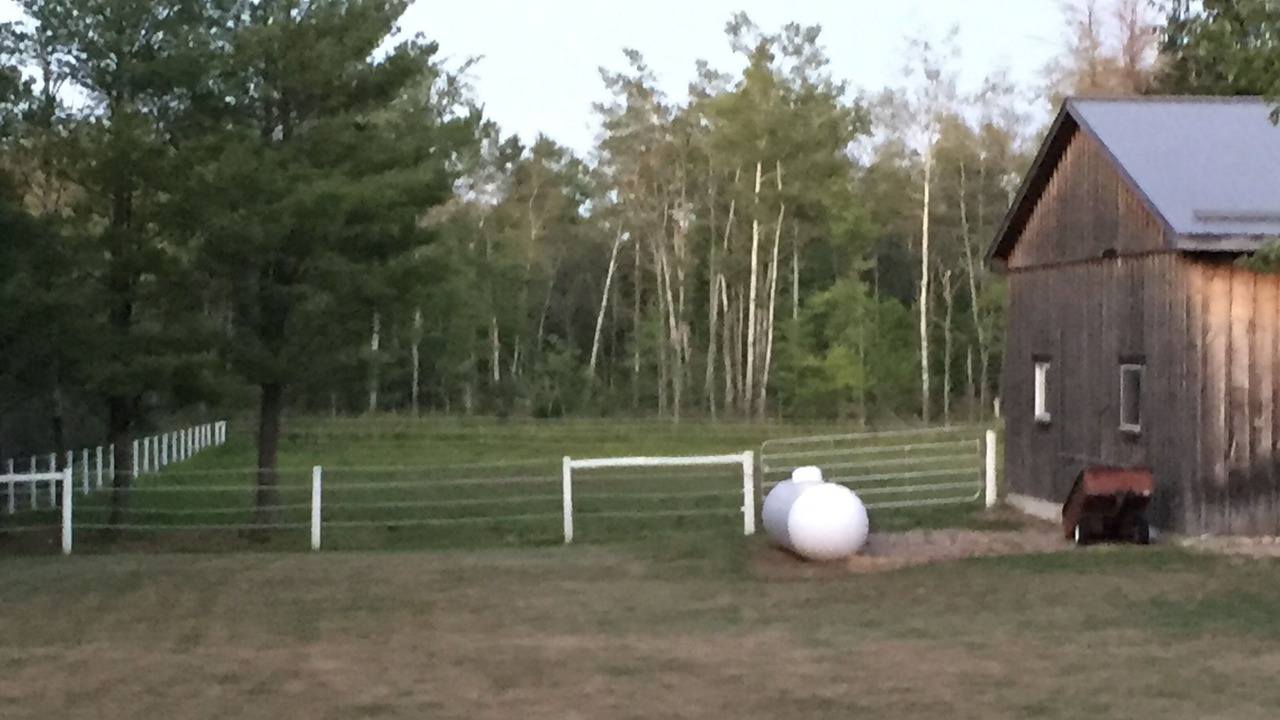 Photo of Outdoor in Melancthon