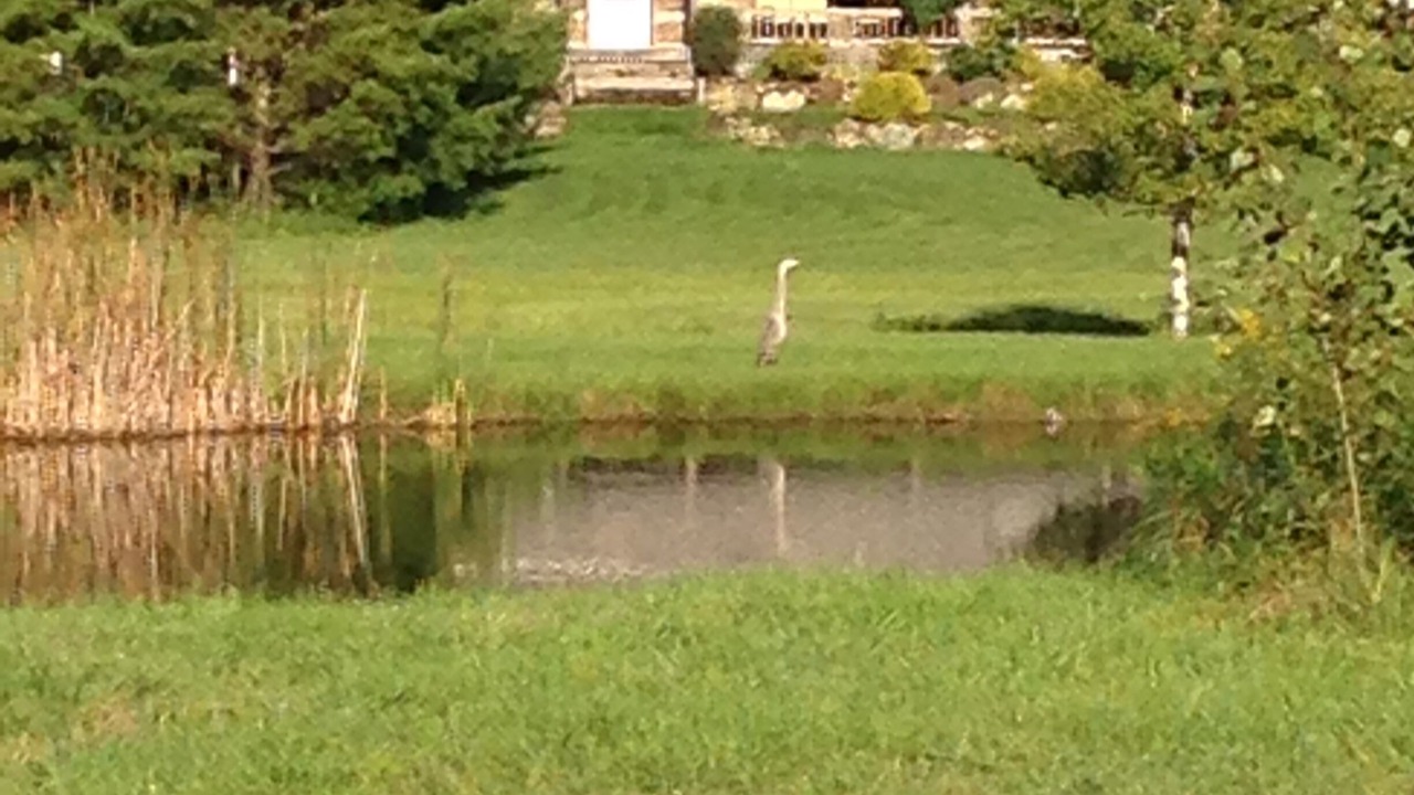Photo of Outdoor in Melancthon