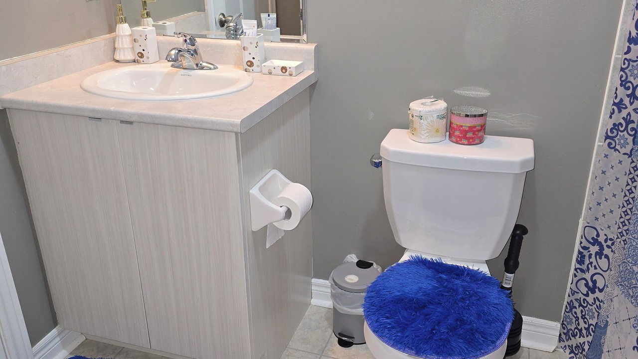 Photo of Bathroom in Brampton