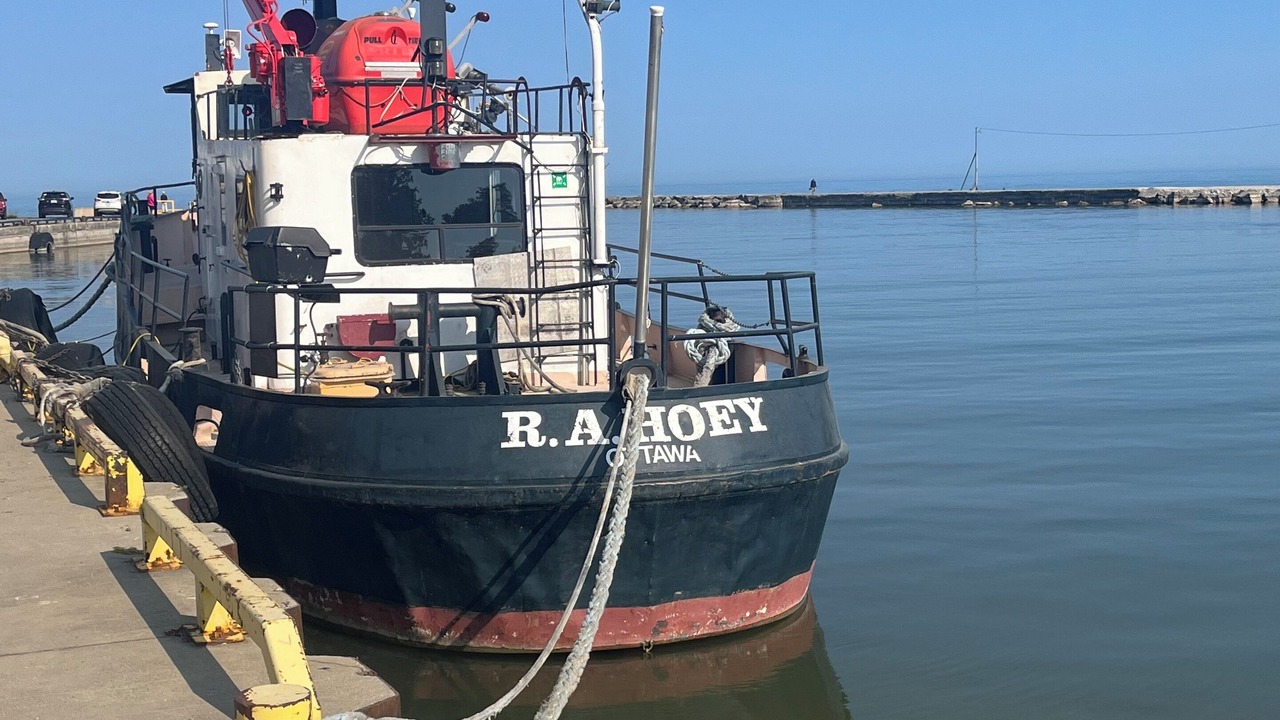 Photo of Others in Southampton
