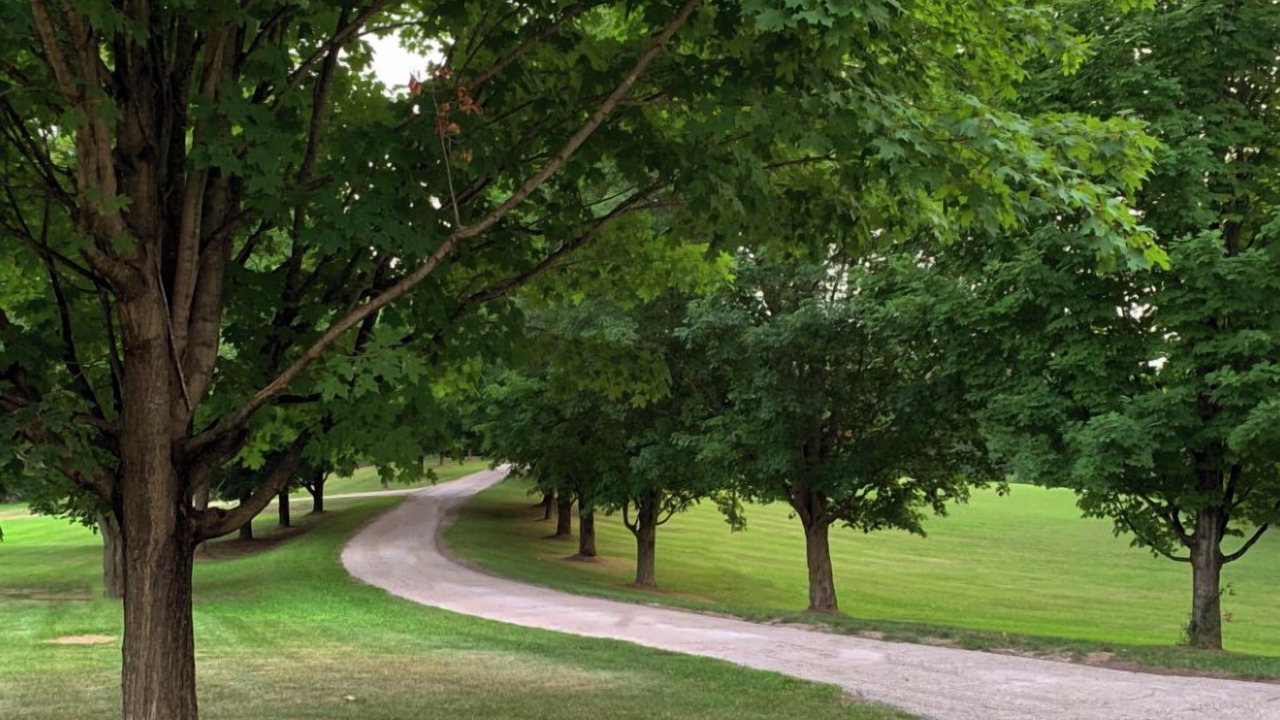 Photo of Others in Caledon