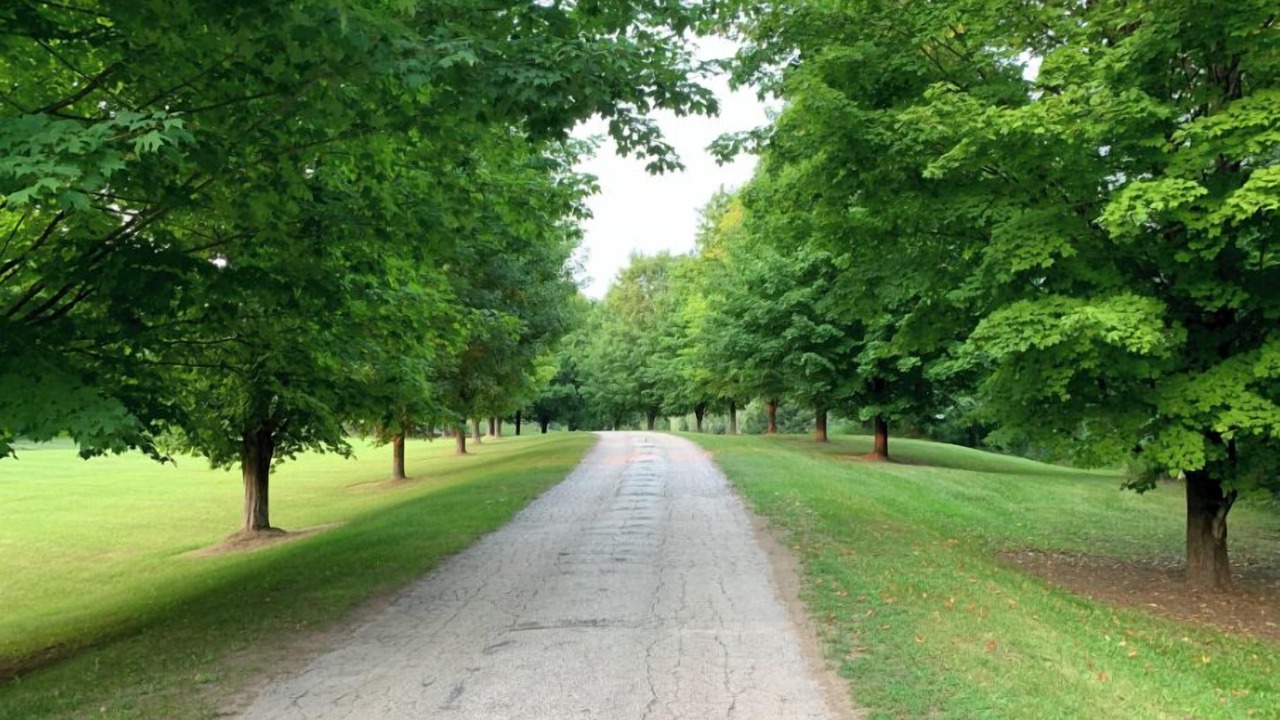 Photo of Others in Caledon