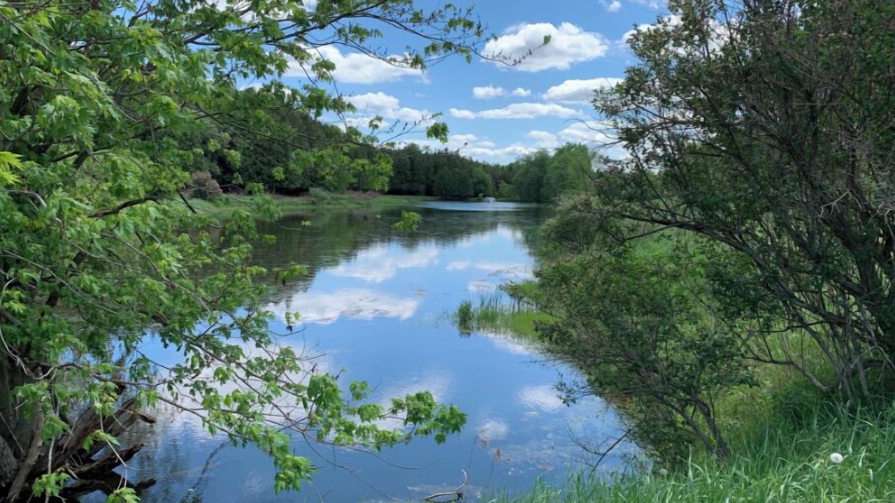 Photo of Others in Caledon