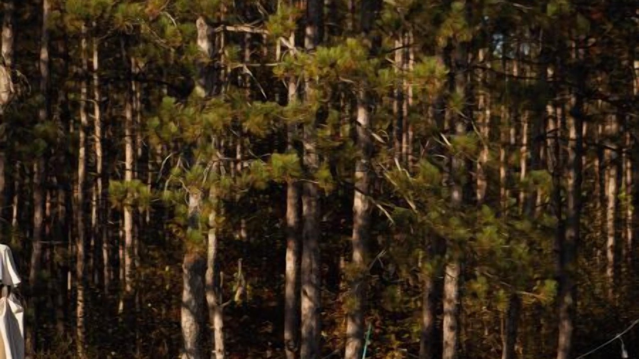 Photo of Outdoor in Caledon