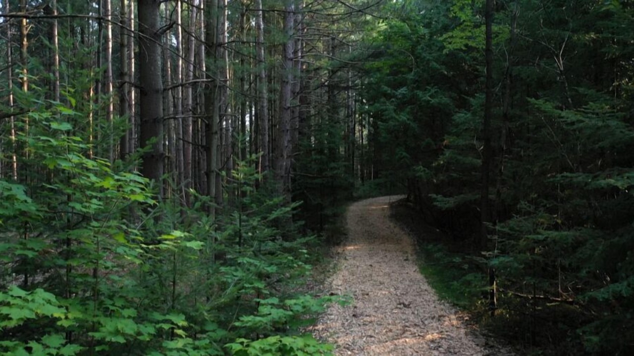 Photo of Others in Caledon