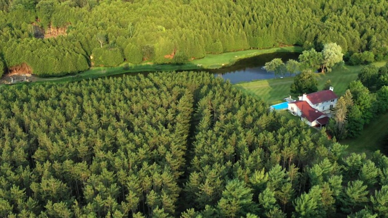 Photo of Outdoor in Caledon