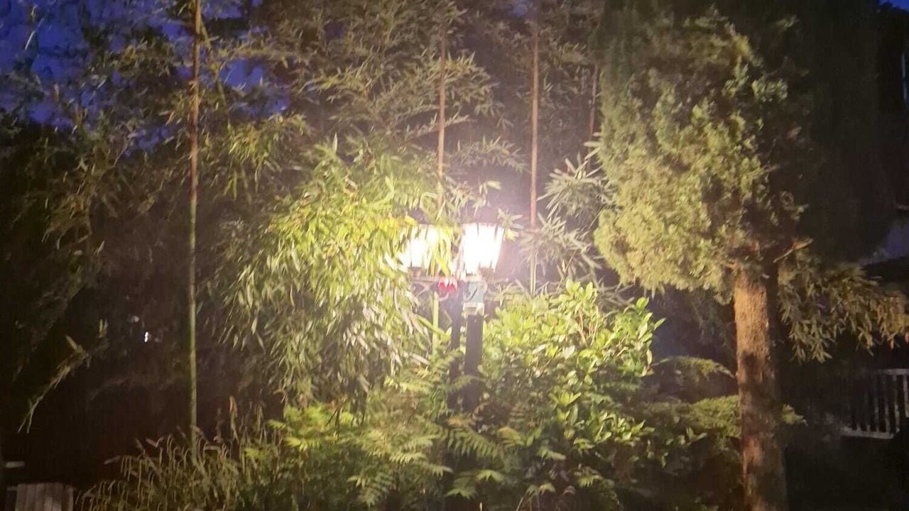 Photo of Outdoor in Montevrain