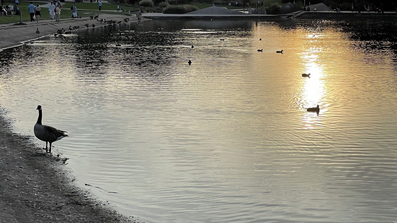 Photo of Others in La Courneuve