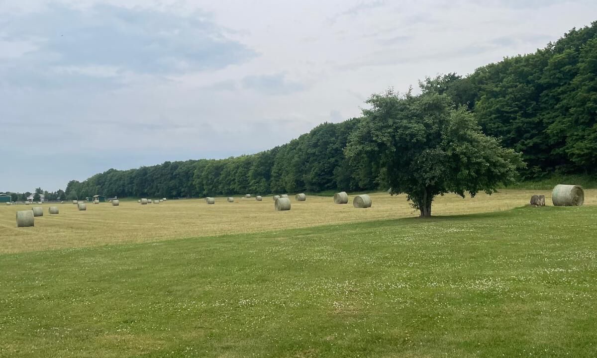 Photo of Others in Grey Highlands